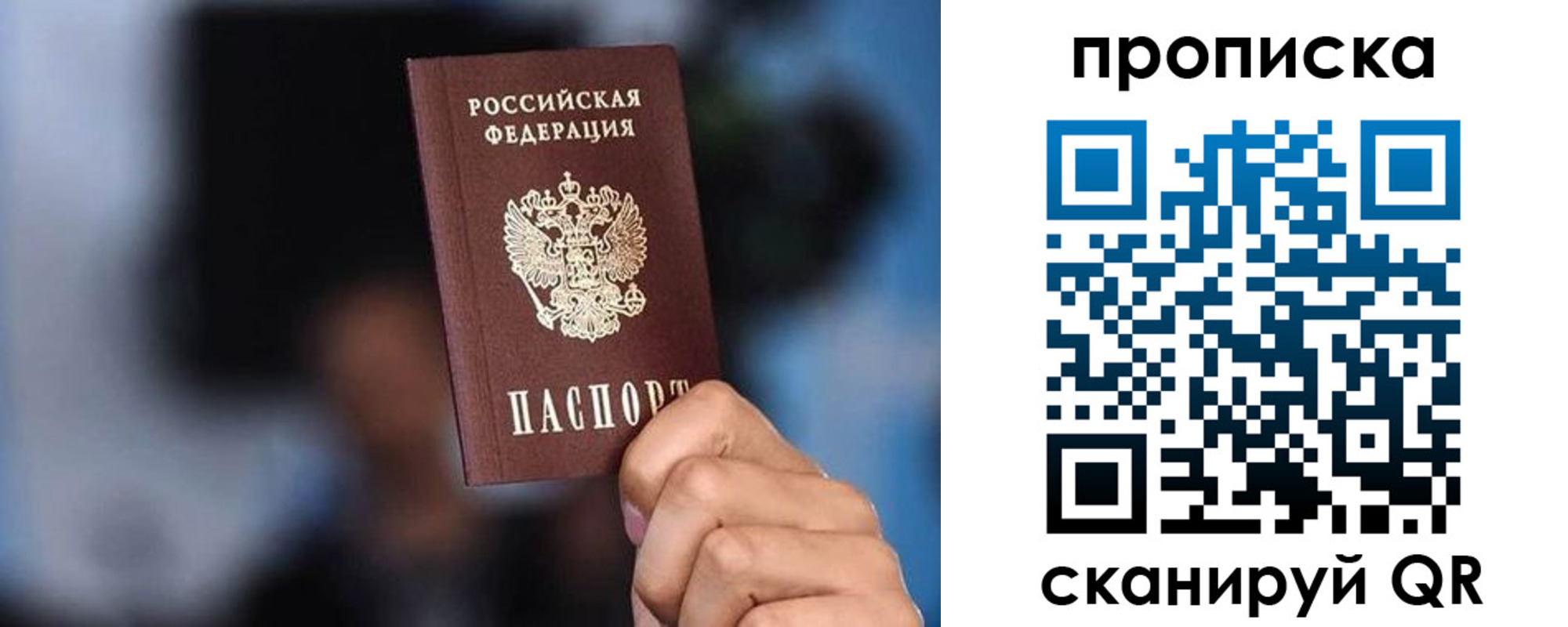 прописка законно в Оленегорске